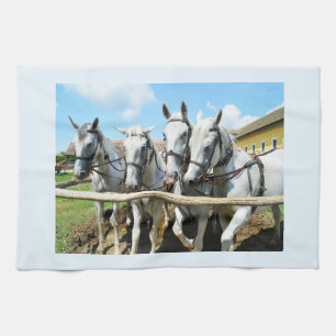 Beautiful white horses tea towel