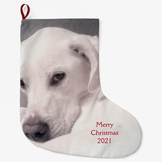 Beautiful White Labrador Mix Puppy Dog Grey Large Christmas Stocking (Front)