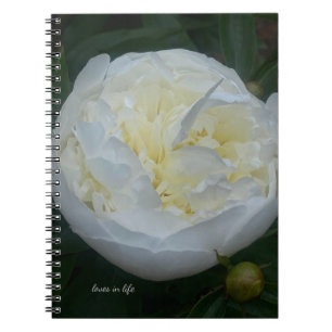 Beautiful White Peony Notebook