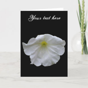 Beautiful White Petunia Customisable Greeting Card