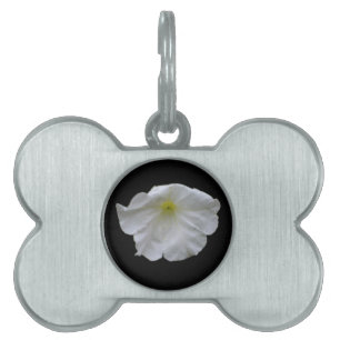 Beautiful White Petunia Pet Tag