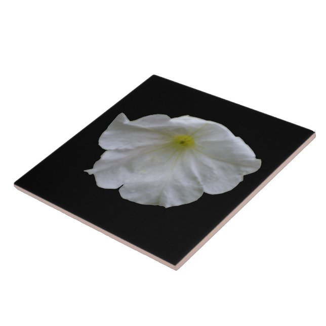 Beautiful White Petunia Tile (Side)