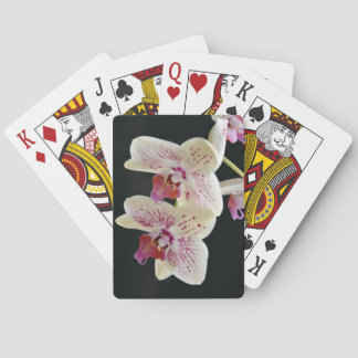 Beautiful White & Pink Orchid w/Black Background Playing Cards