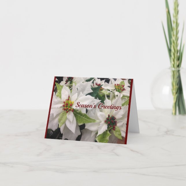 Beautiful White Poinsettia Christmas Holiday Card (Front)