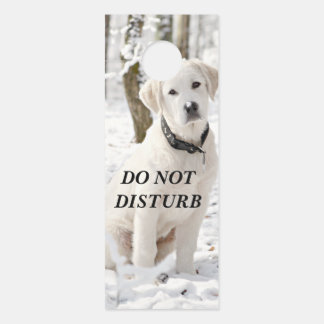Beautiful White Pyrenees Door Hanger