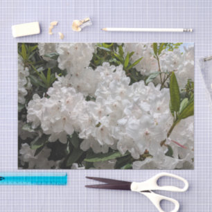 Beautiful White Rhododendron Blooms Floral Tissue Paper