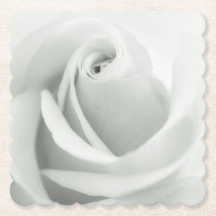 Beautiful White Rose Bud Flower Paper Coaster