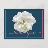 Beautiful White Rose Colour Backdrop Chic Thank Yo