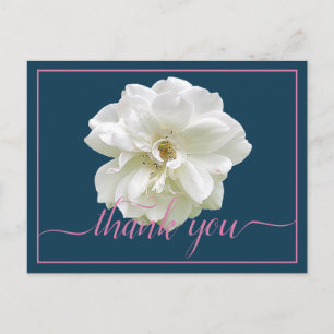Beautiful White Rose Colour Backdrop Chic Thank Yo Postcard