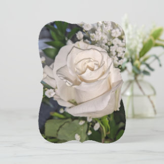 Beautiful White Rose Flat Card