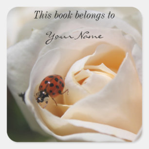 beautiful white rose flower and ladybug square sticker