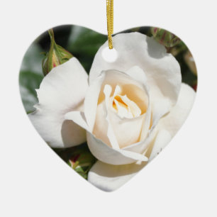 beautiful white rose flower. love and romance ceramic tree decoration