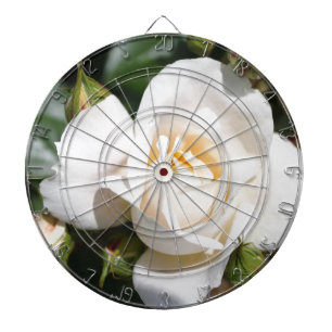beautiful white rose flower. love and romance dartboard