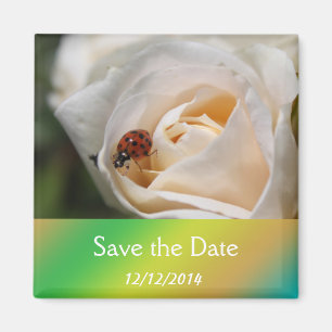 Beautiful white rose flower save the date magnet