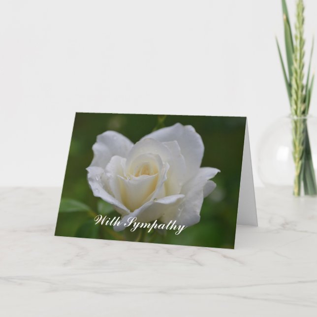 Beautiful White Rose Flower Sympathy Card (Front)