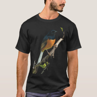 Beautiful White-Rumped Shama Thrush Bird T-Shirt