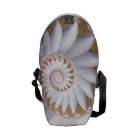 Beautiful White Sea Shell Abstract Pattern