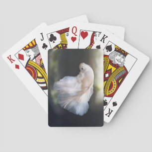 Beautiful White Siamese Betta Fighting Fish Playing Cards