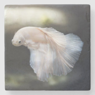 Beautiful White Siamese Betta Fighting Fish Stone Coaster