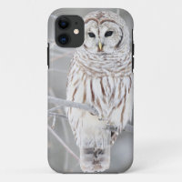 Beautiful White Snow Owl Design