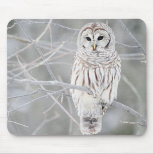 Beautiful White Snow Owl Design Mouse Pad