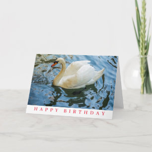 Beautiful white swan birthday card