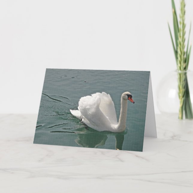 Beautiful white swan card (Front)