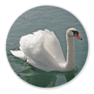 Beautiful white swan ceramic knob
