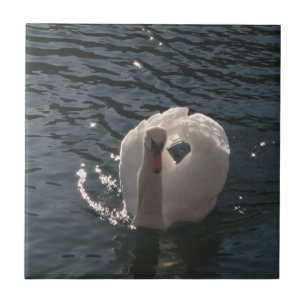 Beautiful white swan ceramic tile