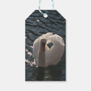 Beautiful white swan classic round sticker gift tags