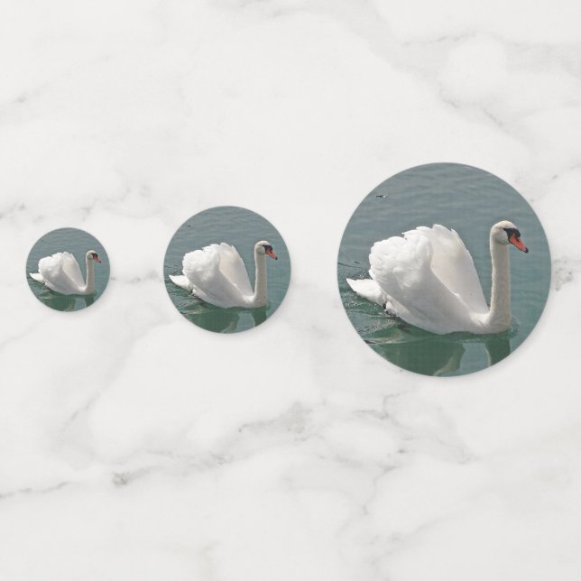 Beautiful white swan confetti (Fronts)