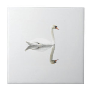 Beautiful white swan in water mirror image ceramic tile
