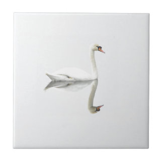 Beautiful white swan in water mirror image ceramic tile