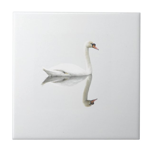 Beautiful white swan in water mirror image ceramic tile (Front)