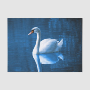 Beautiful white swan in water tissue paper