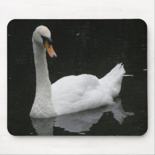 Beautiful White Swan Mousepad
