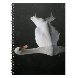 Beautiful White Swan Notebook