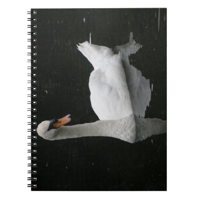 Beautiful White Swan Notebook (Front)