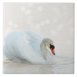 Beautiful White Swan on White Ceramic Tile