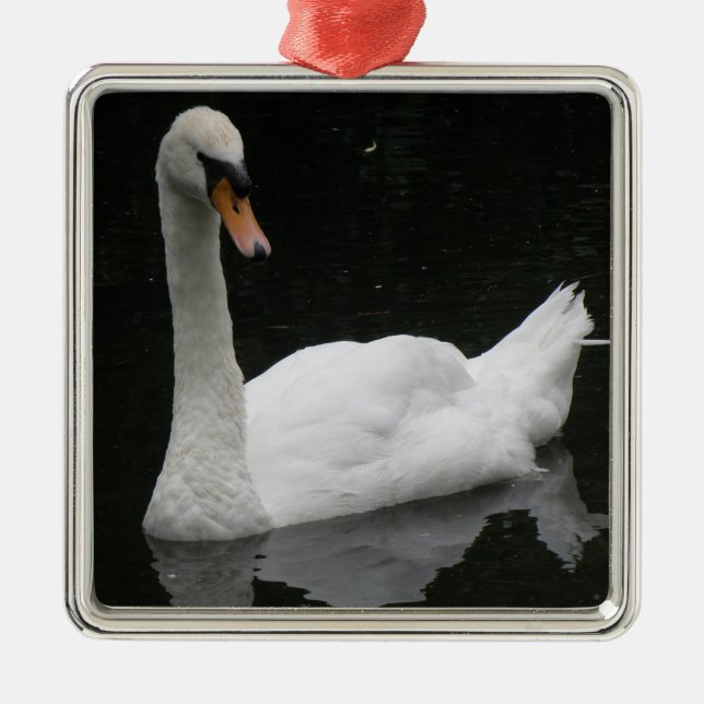 Beautiful White Swan Ornament (Front)