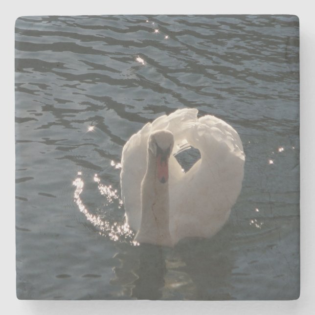 Beautiful white swan stone coaster (Front)