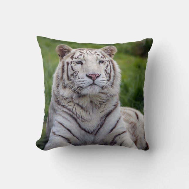 Beautiful White Tiger Photo Cushion (Front)