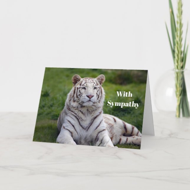Beautiful White Tiger Photo Sympathy Card (Front)