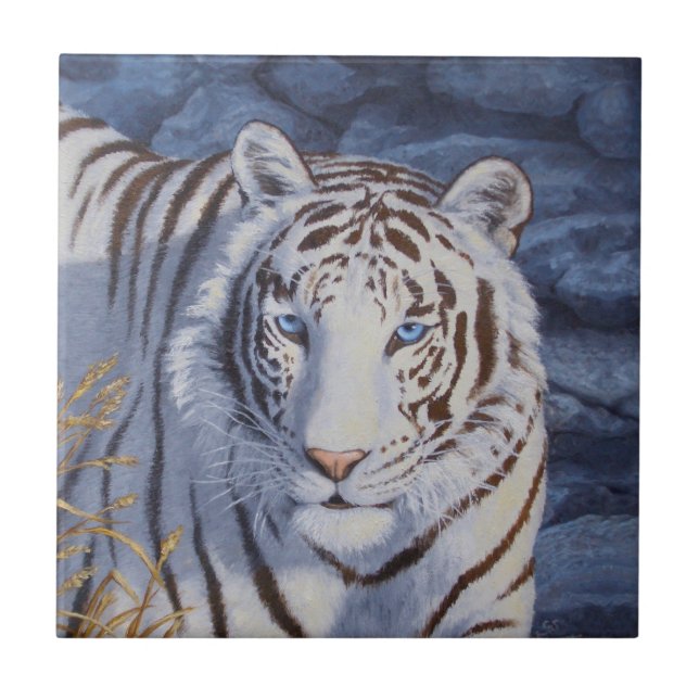 Beautiful White Tiger with Crystal Blue Eyes Ceramic Tile (Front)