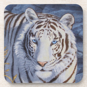 Beautiful White Tiger with Crystal Blue Eyes Coaster