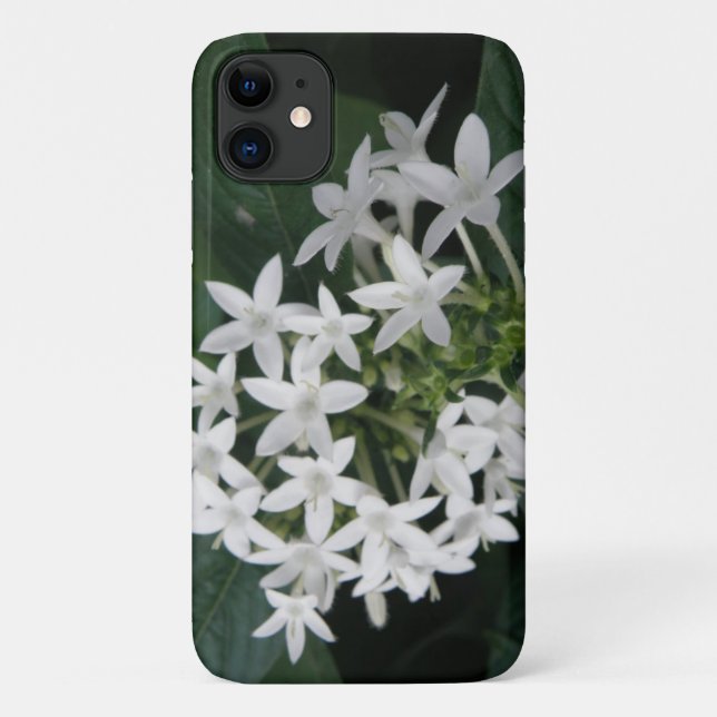 Beautiful White Tropical Flowers iPhone Case (Back)