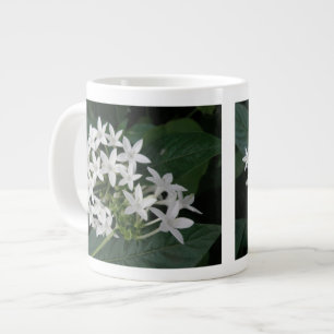 Beautiful White Tropical Flowers Mug