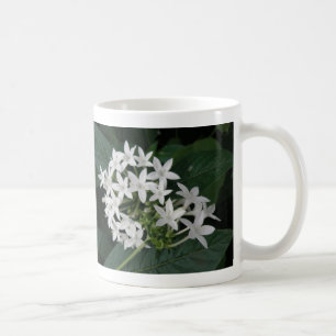Beautiful White Tropical Flowers Mug
