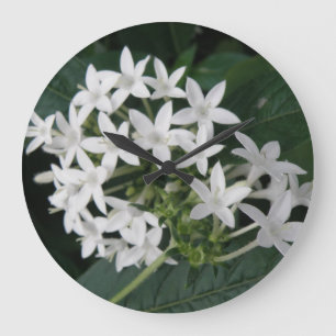 Beautiful White Tropical Flowers Wall Clock