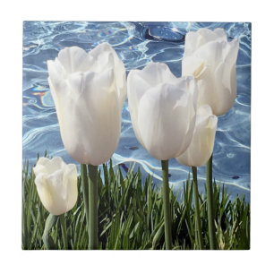 Beautiful White Tulips Ceramic Tile